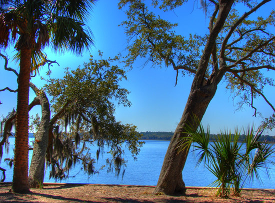 Hermitage Island coastal landscape photograph 1