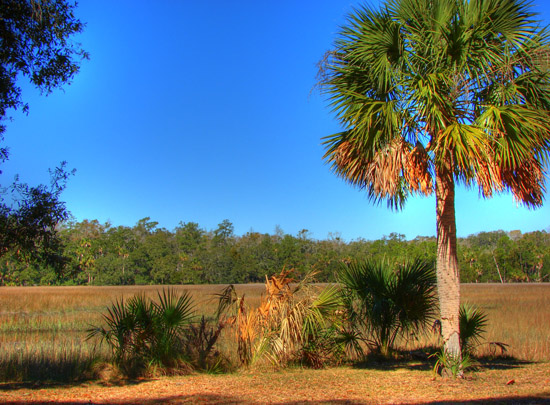 Hermitage Island coastal landscape photograph 4