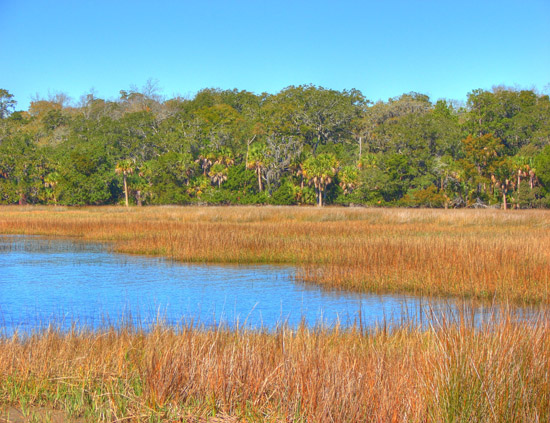 Hermitage Island coastal landscape photograph 12