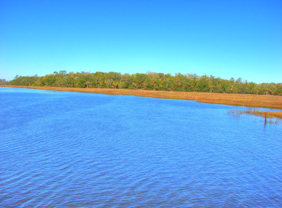 Hermitage Island coastal landscape photograph 14